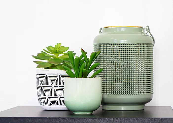 Apartment Cosy Nimes-centre 2 *